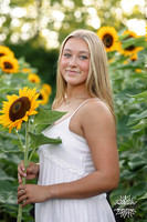 Annie Sunflowers